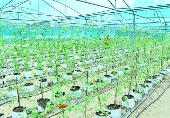 Eco Initiatives
